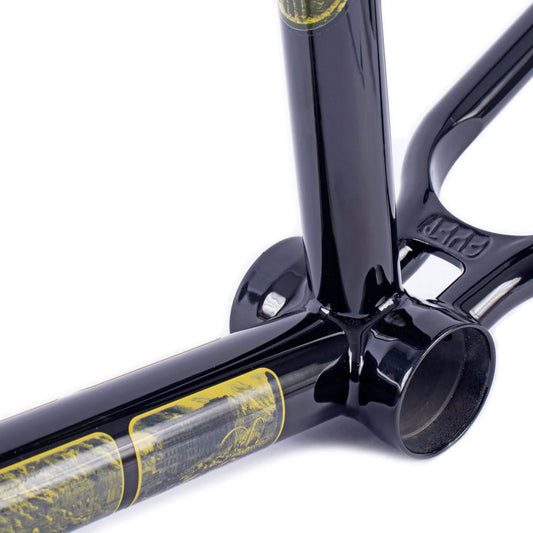 Cult Heaven's Gate Frame (Alex Duleban)